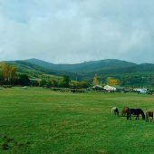 FERIA-CABALLO-08